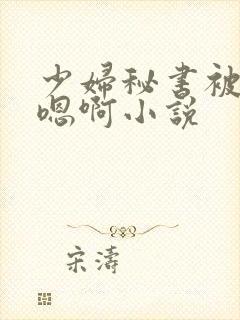 少妇秘书被狂啪嗯啊小说