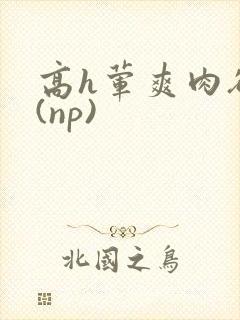 高h荤爽肉欲文(np)