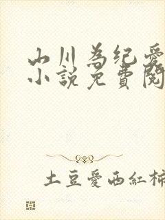 山川为纪爱无言小说免费阅读