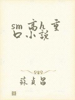 sm 高h 重口小说