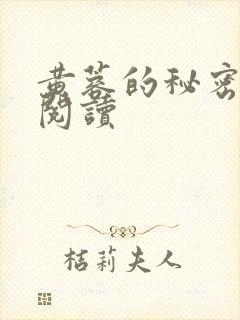 黄蓉的秘密在线阅读