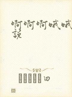 啊啊啊哦哦h小说