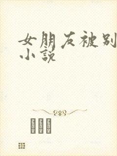 女朋友被别人操小说封面