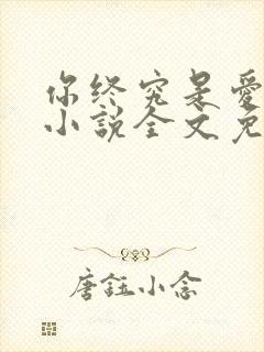 你终究是爱我的小说全文免费阅读