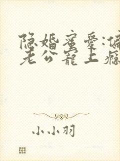 隐婚蜜爱:偏执老公宠上瘾 txt下载封面