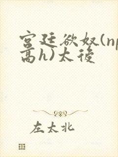 宫廷欲奴(np高h)太后