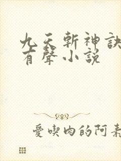 九天斩神诀林辰有声小说