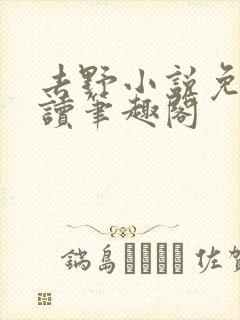 去野小说免费阅读笔趣阁