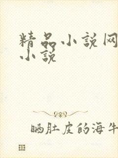 精品小说网同人小说