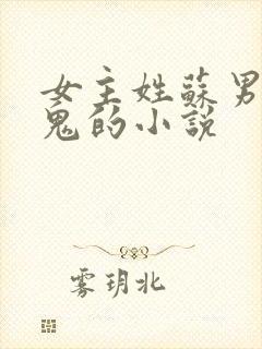 女主姓苏男主是鬼的小说