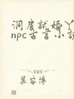 洞房试婚丫鬟的npc古言小说白玉封面