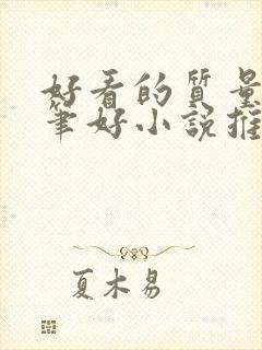 好看的质量高文笔好小说推荐封面