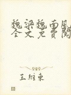 魏梁魏南风po全文免费阅读笔趣阁