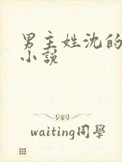 男主姓沈的古代小说