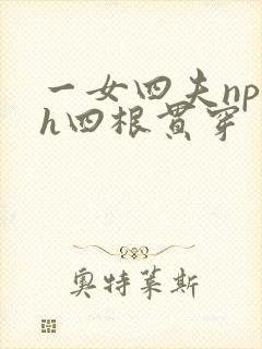 一女四夫np高h四根贯穿