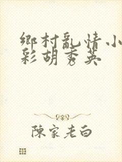 乡村乱情小雷小彩胡秀英