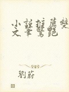 小说推荐双男主文笔惊艳