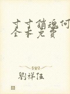 寸寸销魂何生祥全本免费