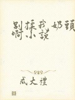 别揉我奶头嗯～啊小说