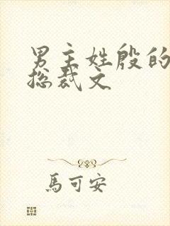 男主姓殷的小说总裁文封面