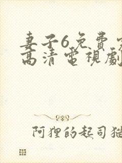 妻子6免费完整高清电视剧看封面