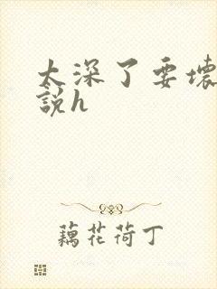 太深了要坏了小说h