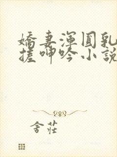 娇妻浑圆乳峰揉搓呻吟小说封面