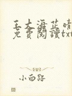 王大海芷晴正版免费阅读txt