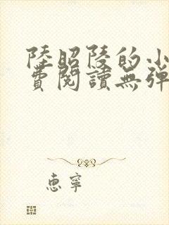 陆昭陵的小说免费阅读无弹窗