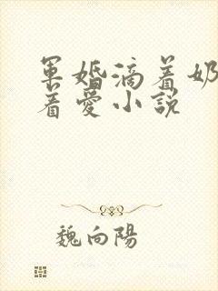 军婚滴着奶水做着爱小说封面