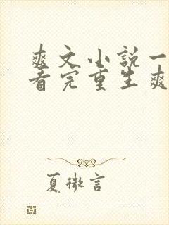 爽文小说一口气看完重生爽文封面