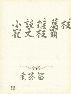 小说推荐校园甜宠文校霸