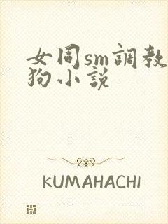 女同sm调教母狗小说封面