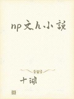 np文h小说
