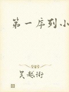 第一序列小说封面