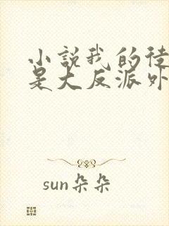 小说我的徒弟都是大反派外传