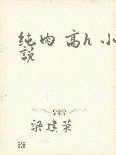 纯肉 高h 小说