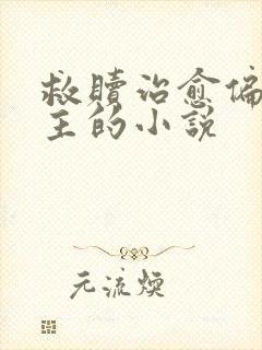 救赎治愈偏执男主的小说