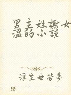 男主姓谢女主姓温的小说