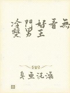 冷门好看无限流双男主