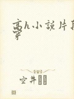 高h小说片段快穿