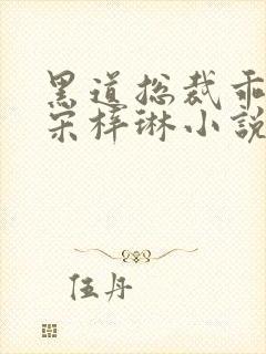 黑道总裁乖乖妻宋梓琳小说