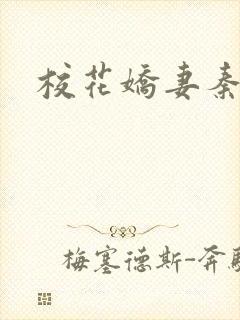 校花娇妻秦晓叶封面