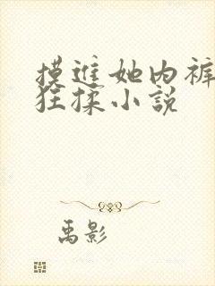 摸进她内裤里疯狂揉小说