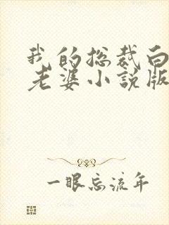 我的总裁白富美老婆小说版