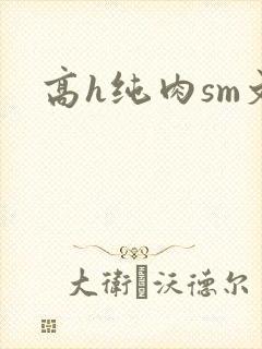 高h纯肉sm文封面