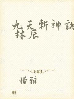 九天斩神诀林辰 林辰