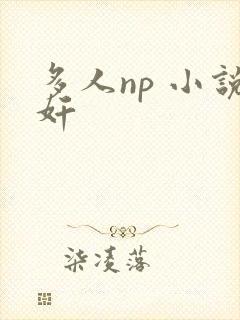 多人np 小说奸