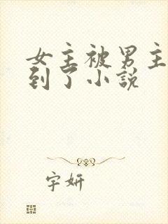 女主被男主们找到了小说