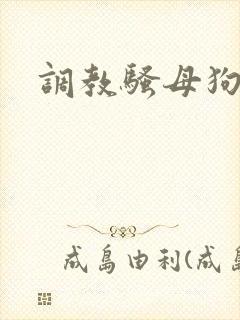 调教骚母狗被艹封面